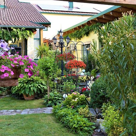 Ferienwohnung Koppi Pamhagen Екстер'єр фото