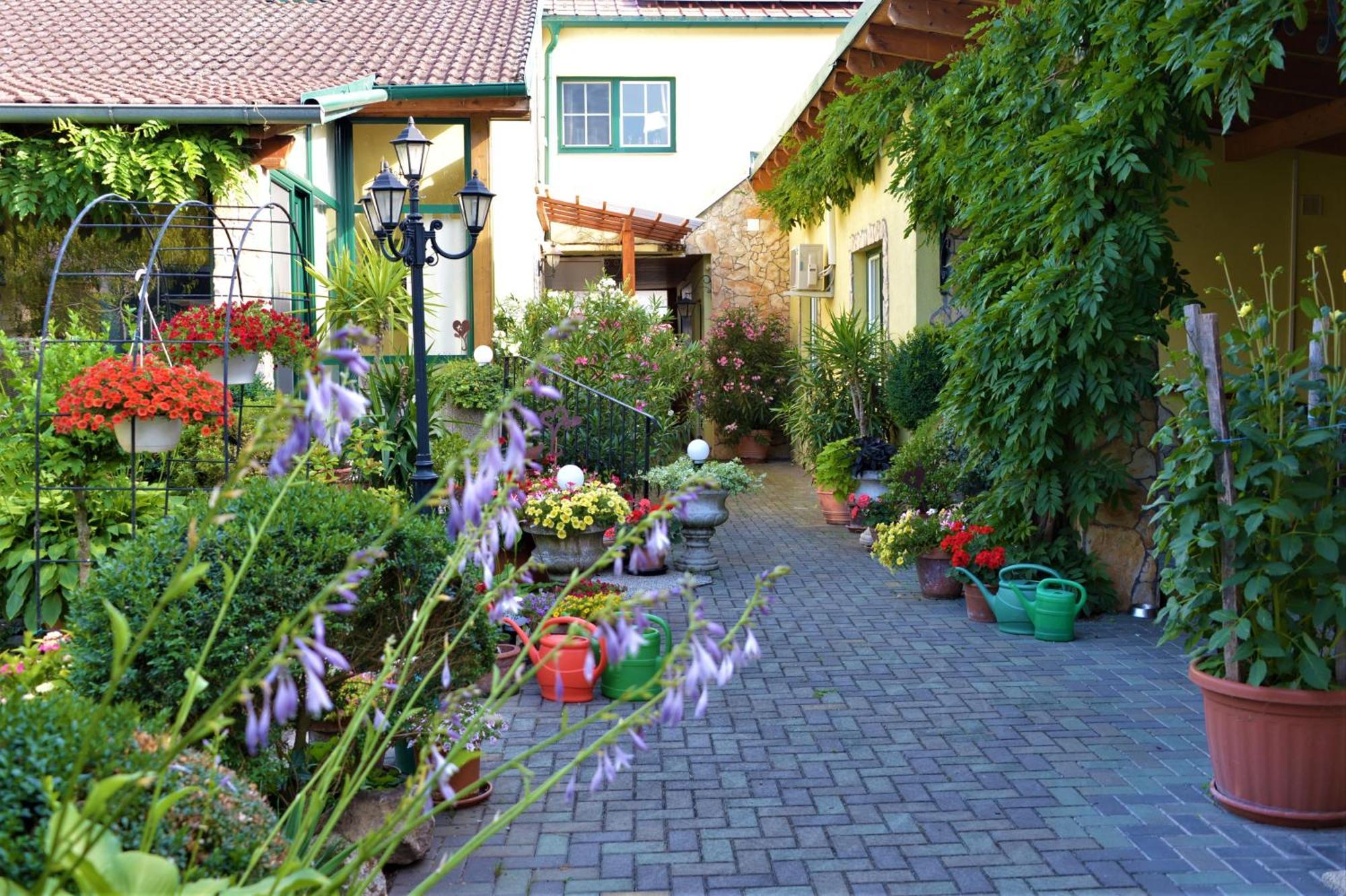 Ferienwohnung Koppi Pamhagen Екстер'єр фото