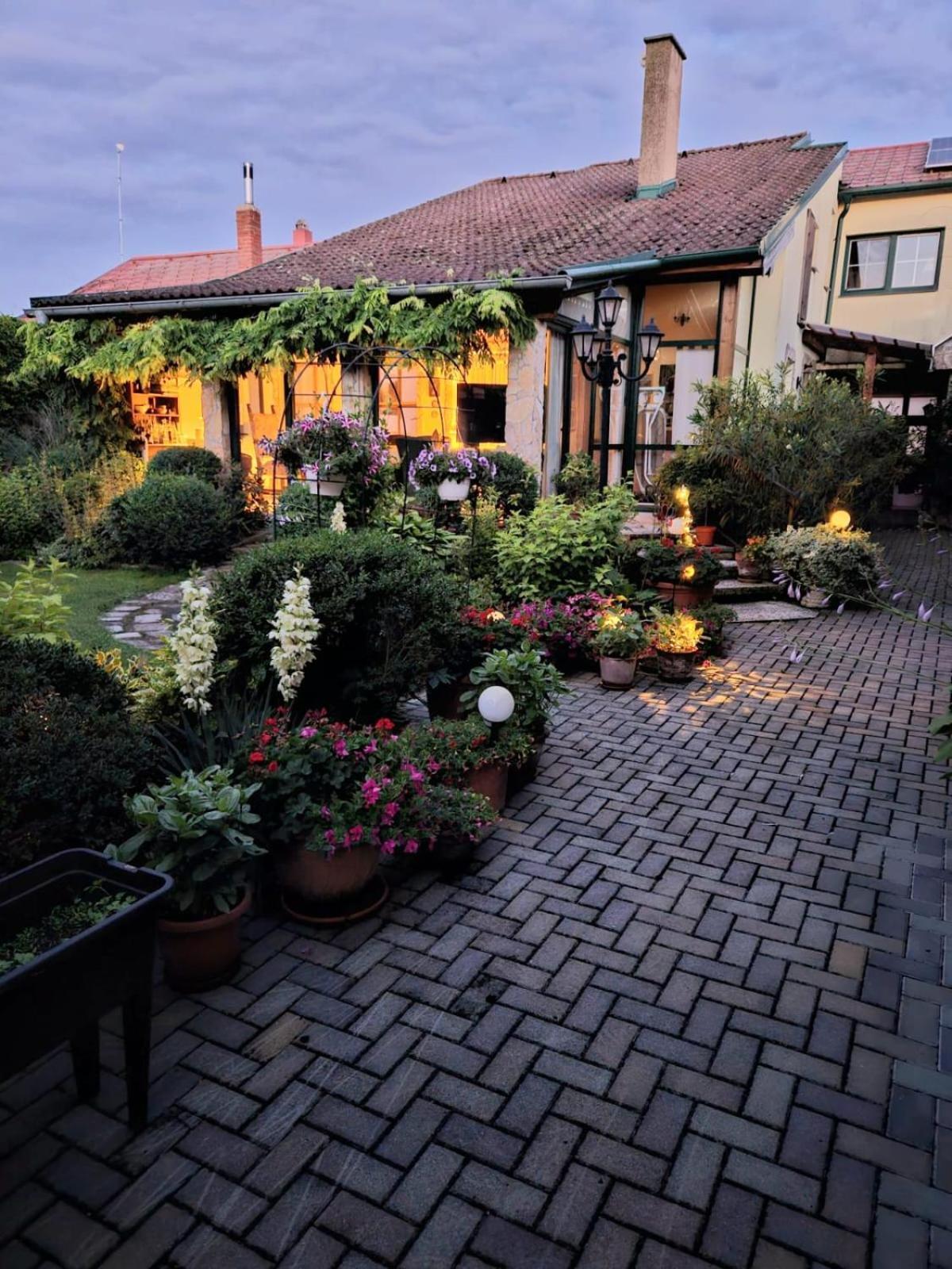 Ferienwohnung Koppi Pamhagen Екстер'єр фото