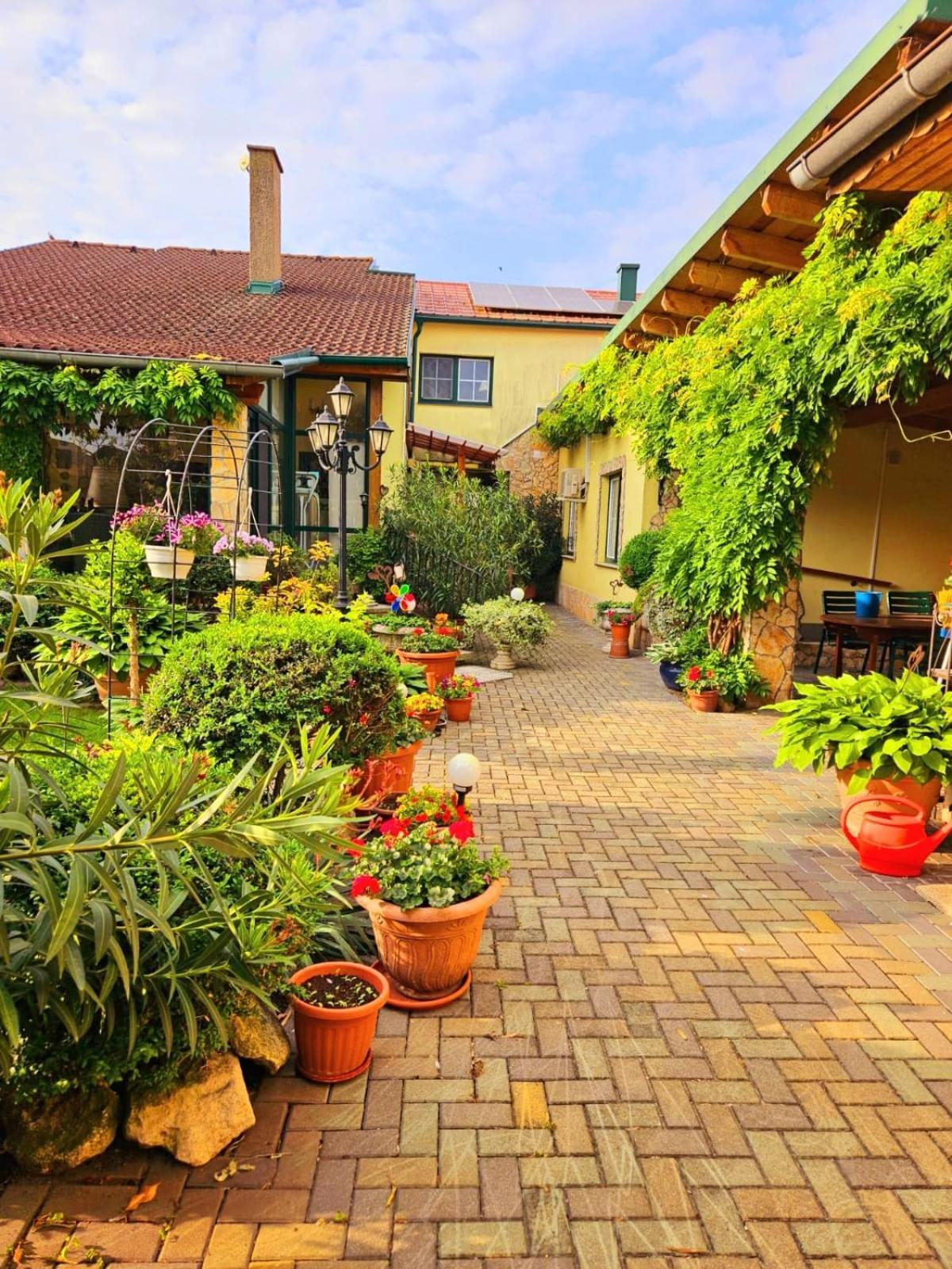Ferienwohnung Koppi Pamhagen Екстер'єр фото