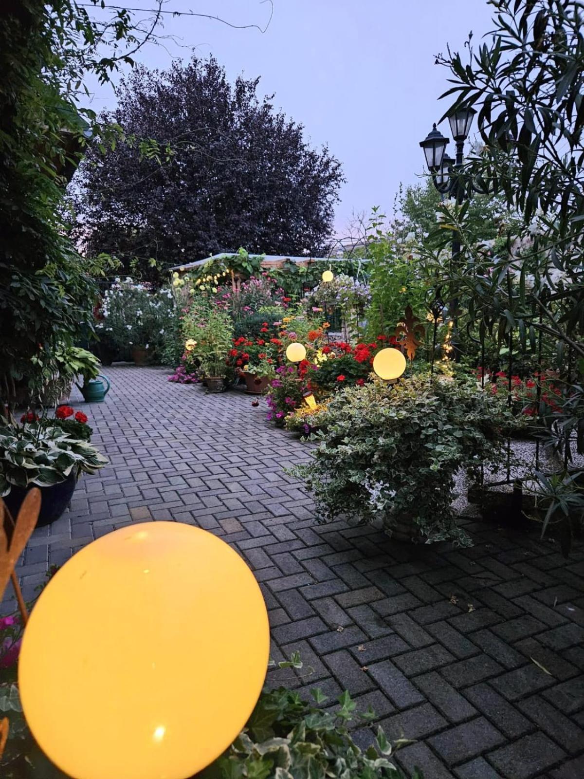 Ferienwohnung Koppi Pamhagen Екстер'єр фото
