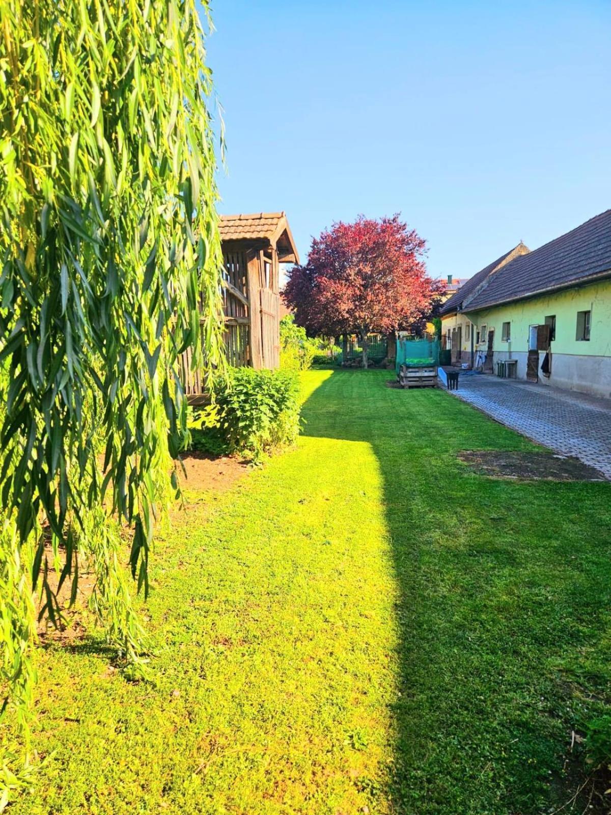 Ferienwohnung Koppi Pamhagen Екстер'єр фото