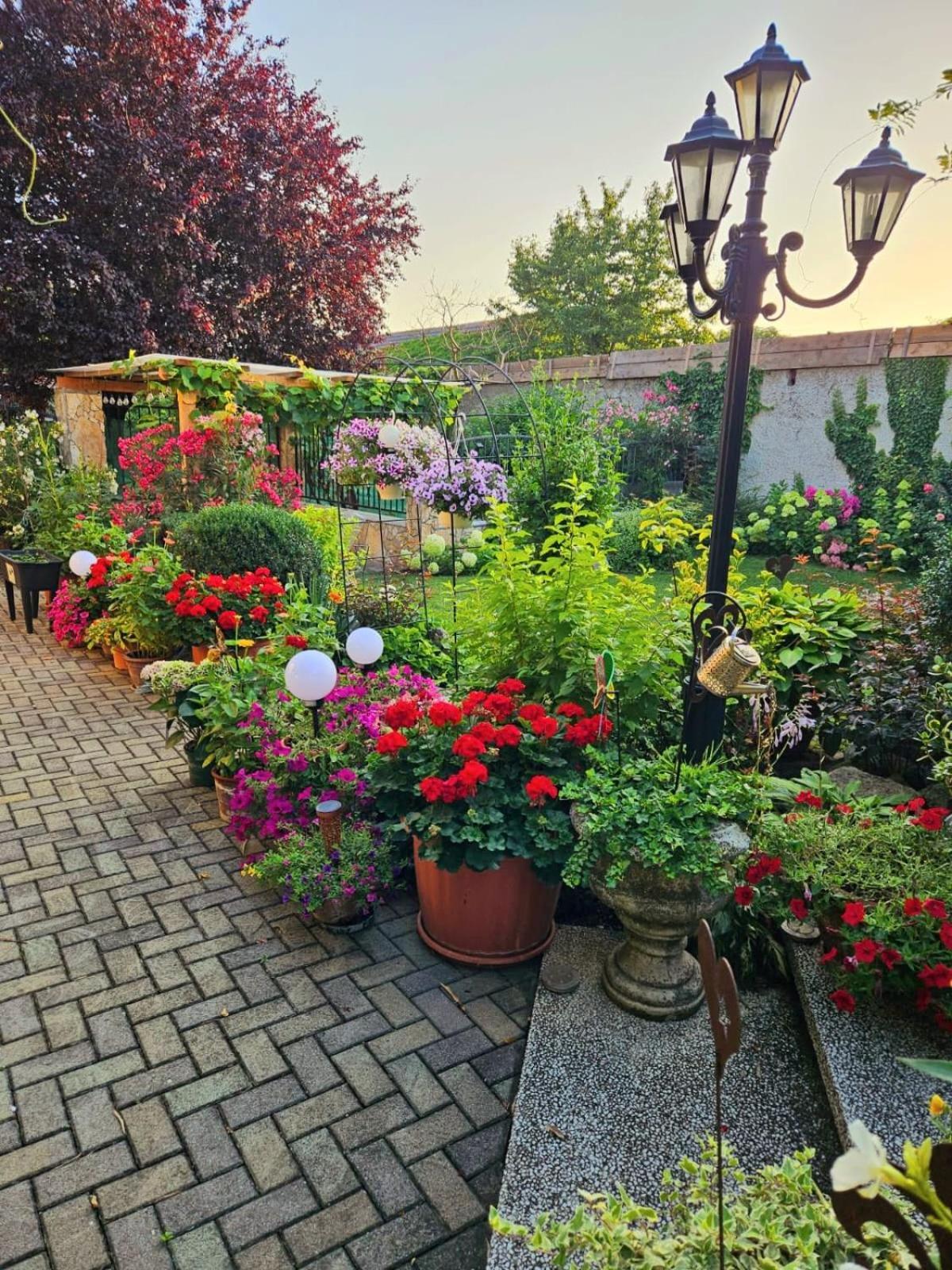 Ferienwohnung Koppi Pamhagen Екстер'єр фото