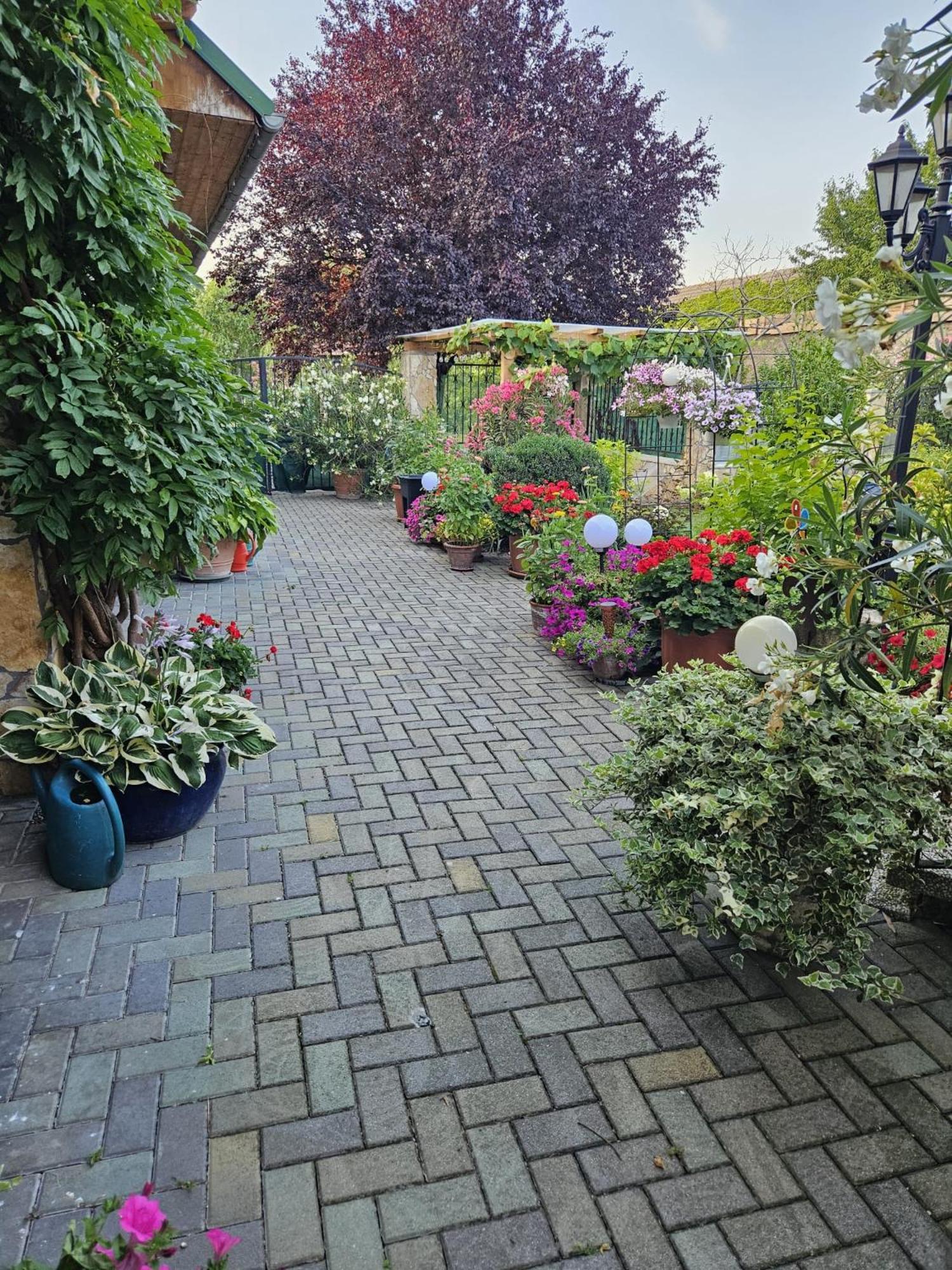 Ferienwohnung Koppi Pamhagen Екстер'єр фото